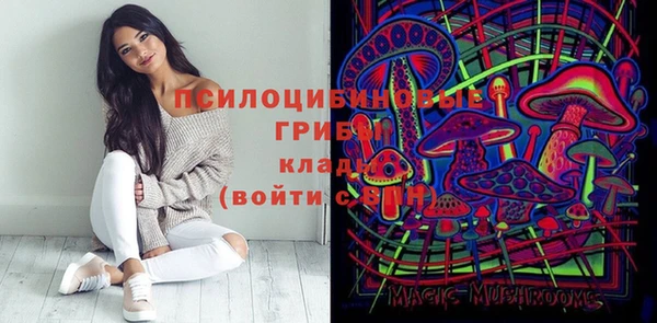 МДПВ Семилуки