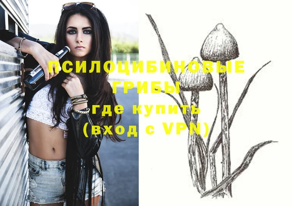 дурь Семёнов