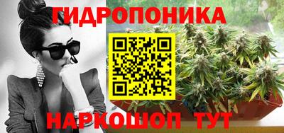 стаф Заводоуковск
