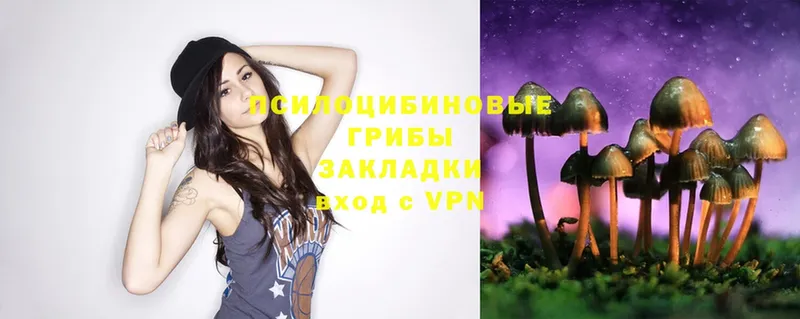 Галлюциногенные грибы Magic Shrooms  Учалы 