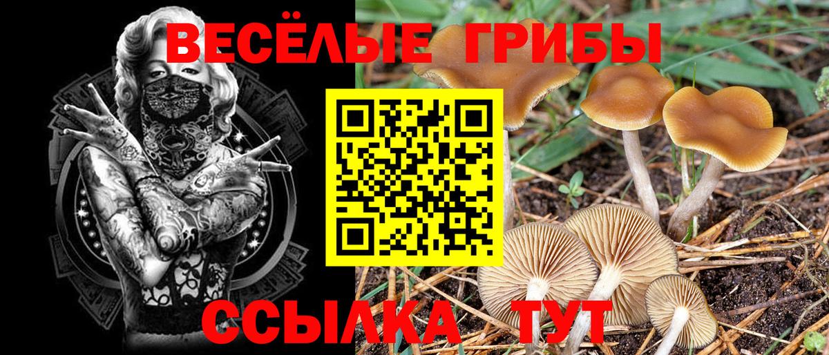 Галлюциногенные грибы Magic Shrooms Учалы