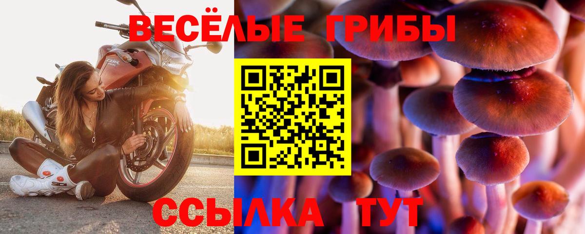 купить   Псилоцибиновые грибы прущие грибы  Учалы  Вход с VPN  Псилоцибиновые грибы мицелий 
